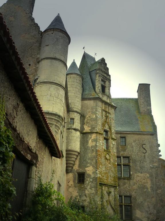 Chateau De Vermette 호텔 La Chapelle-Gaudin 객실 사진
