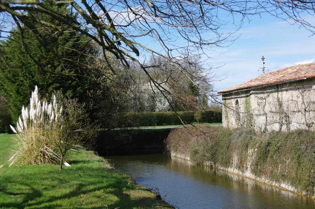 Chateau De Vermette 호텔 La Chapelle-Gaudin 외부 사진