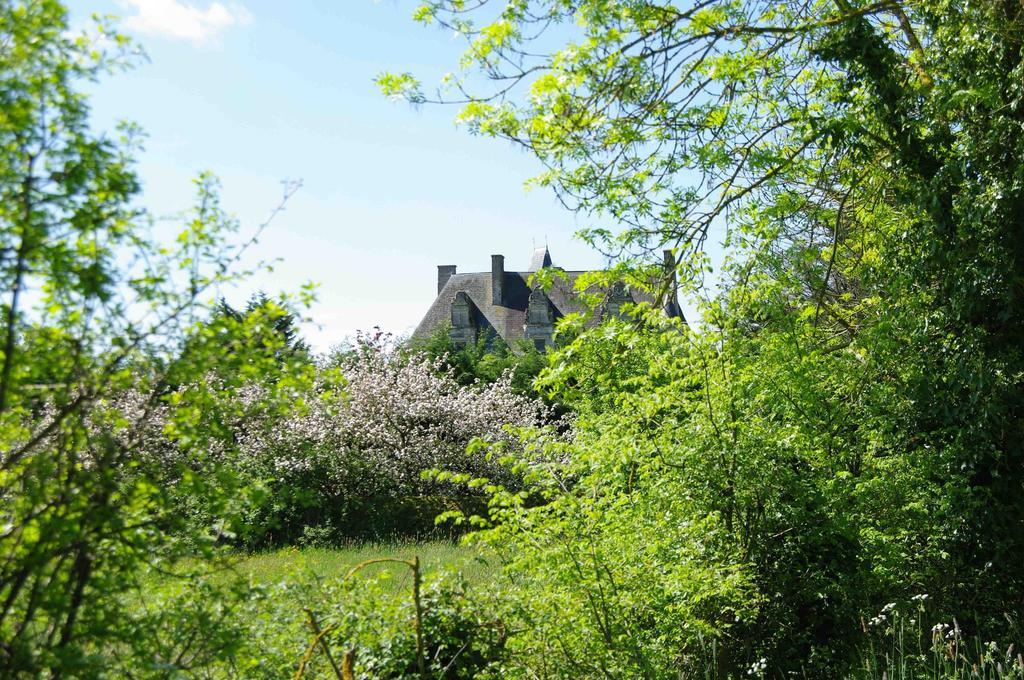 Chateau De Vermette 호텔 La Chapelle-Gaudin 외부 사진